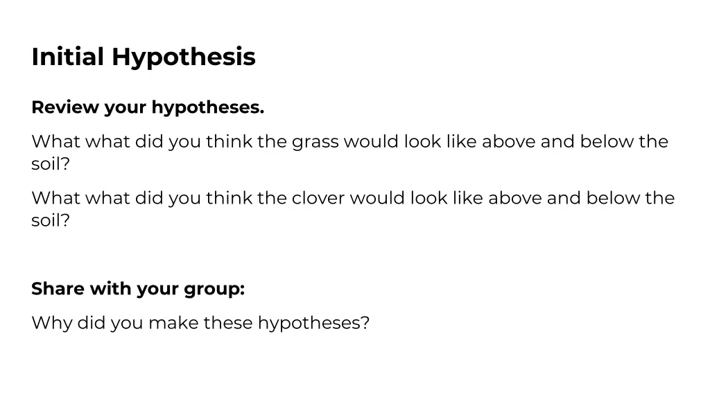initial hypothesis