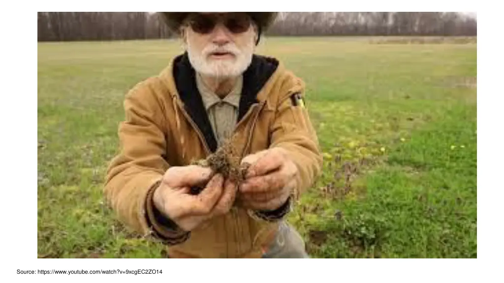 legumes with professor ray weil root nodules