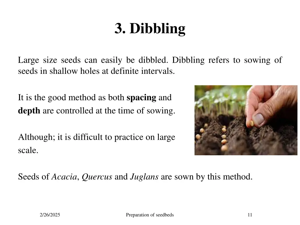 3 dibbling