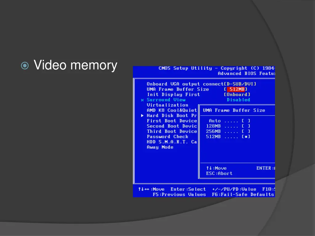 video memory