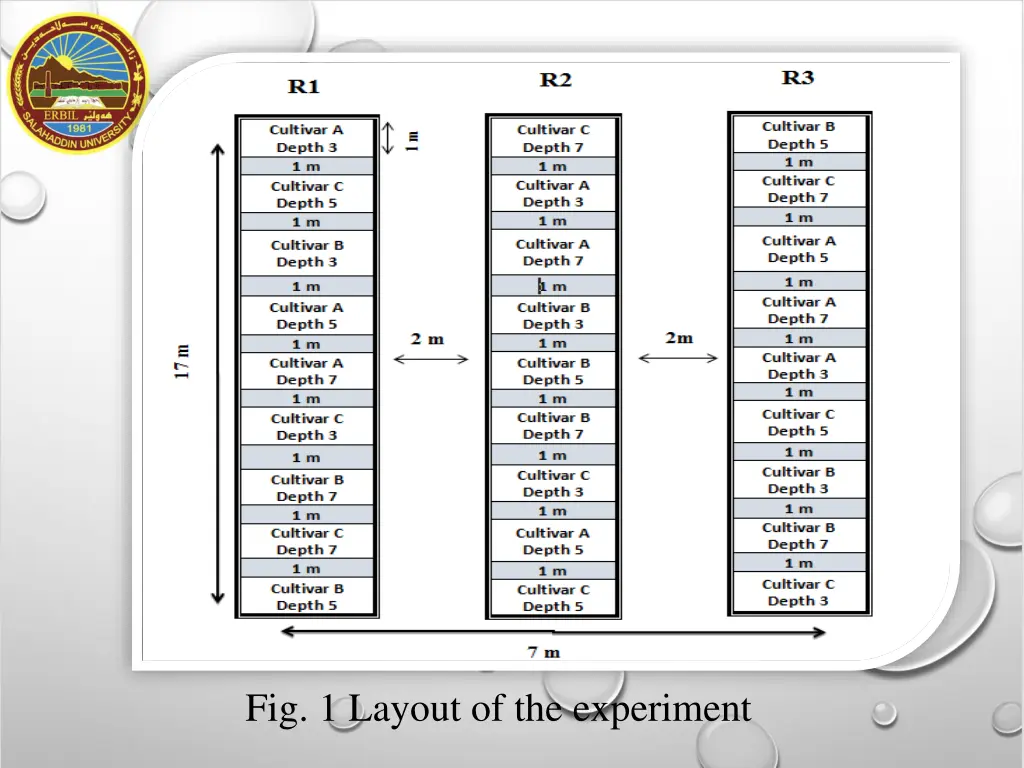fig 1 layout of the experiment