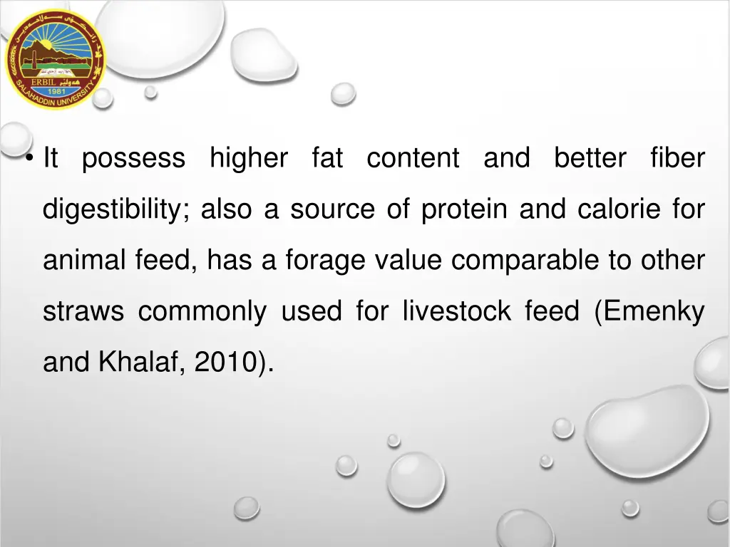 it possess higher fat content and better fiber