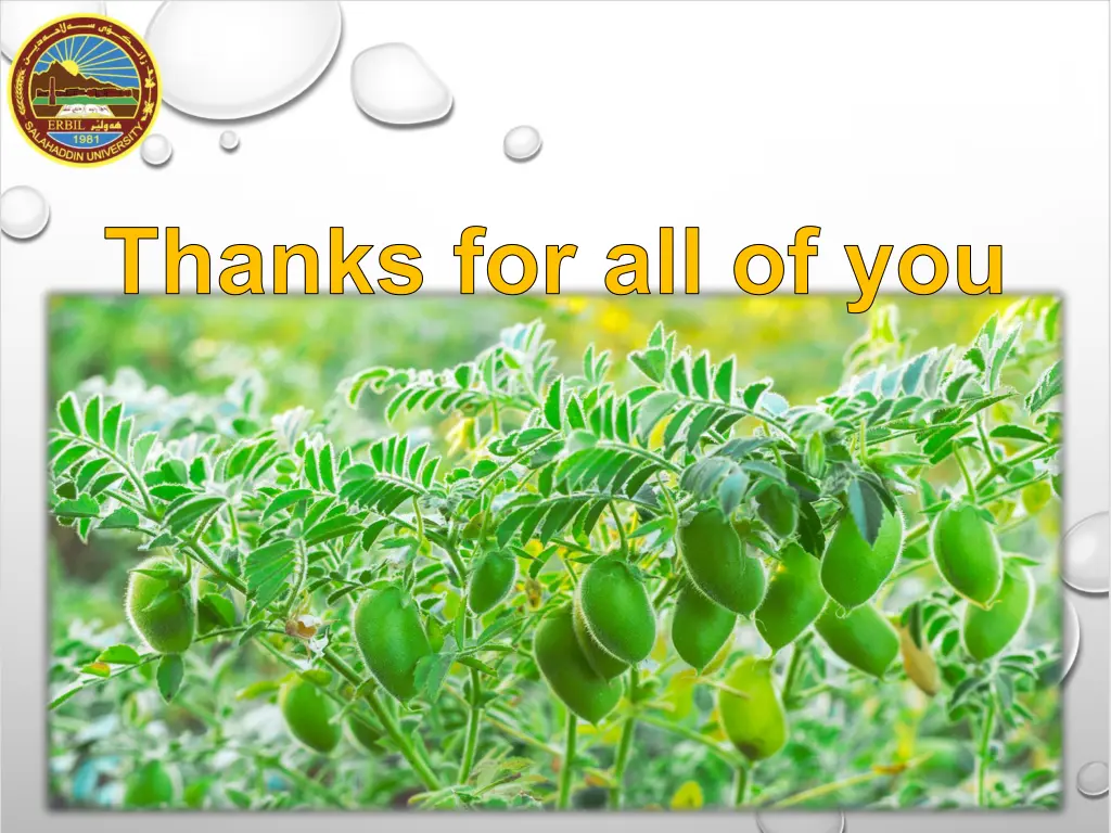 thanks for all of you