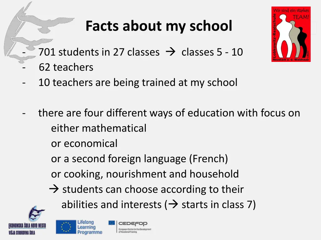 facts about my school