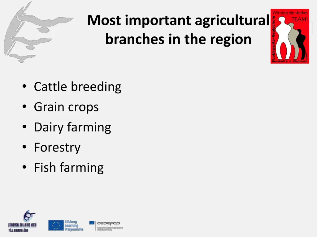 most important agricultural branches in the region