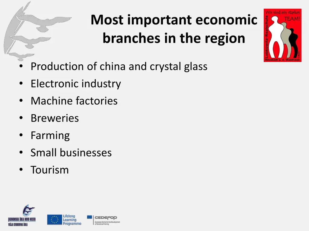 most important economic branches in the region