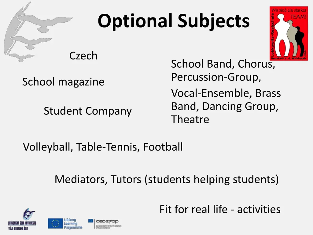 optional subjects