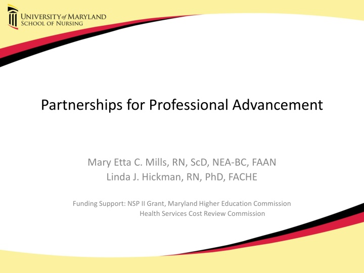partnerships for professional advancement