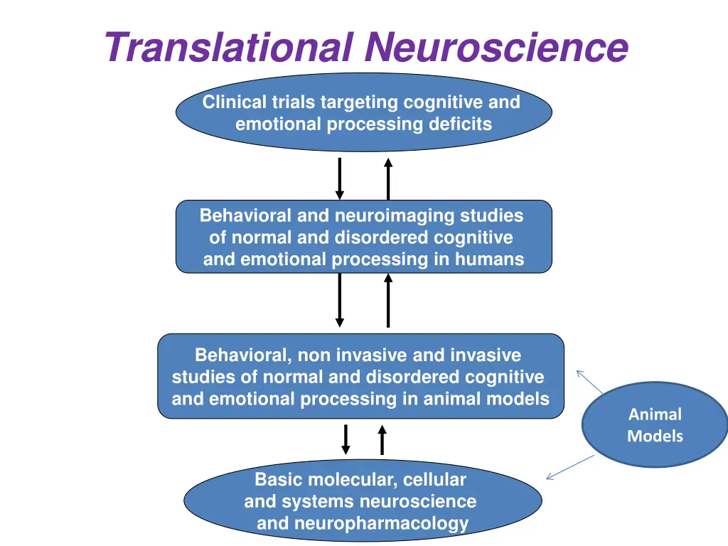 translational neuroscience