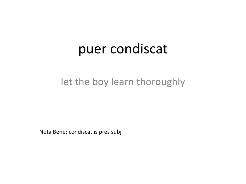 puer condiscat