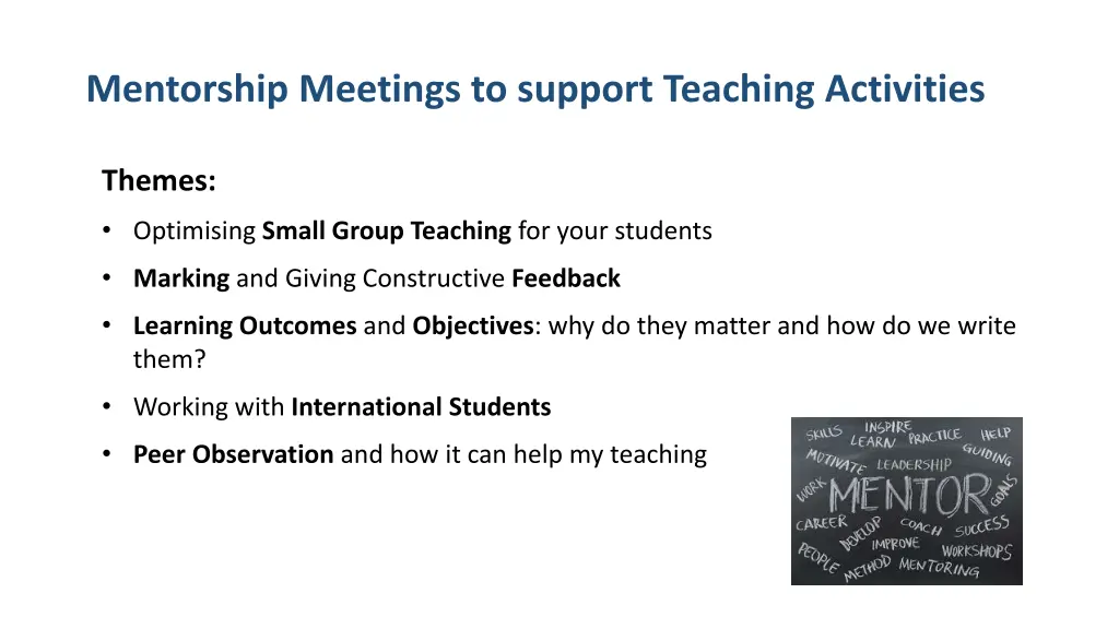 mentorship meetings to support teaching activities
