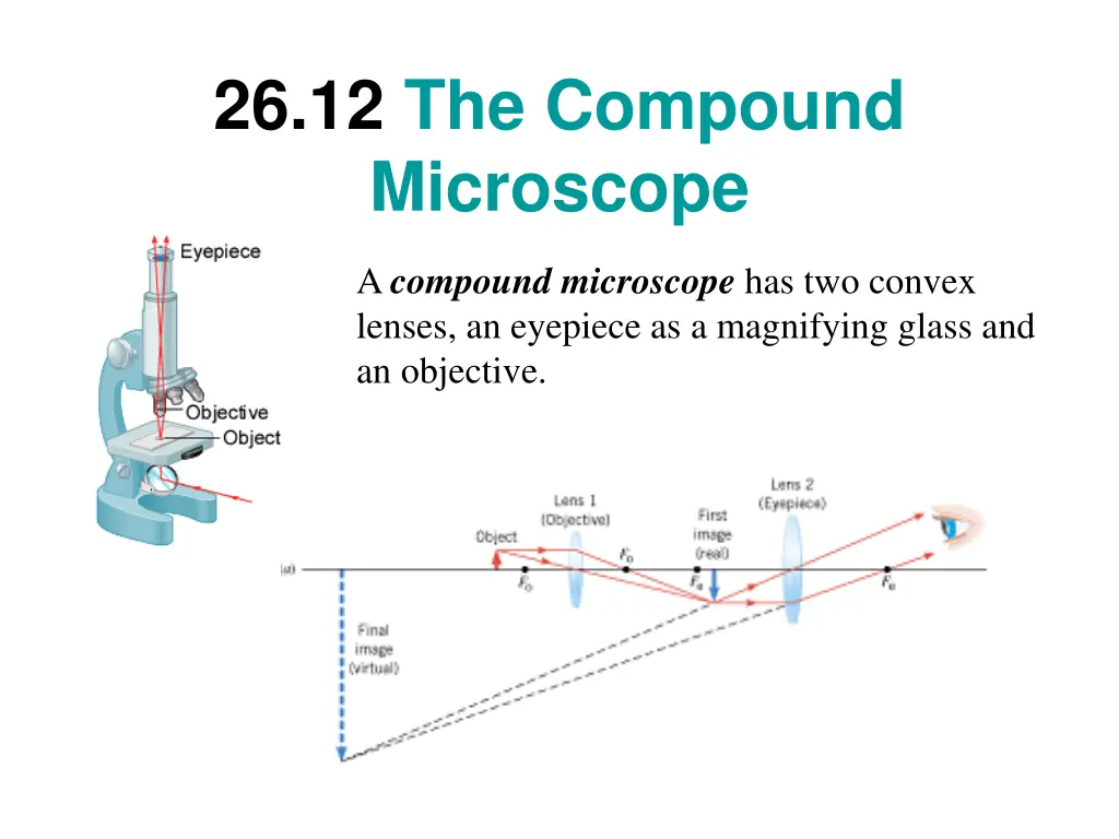 26 12 the compound microscope