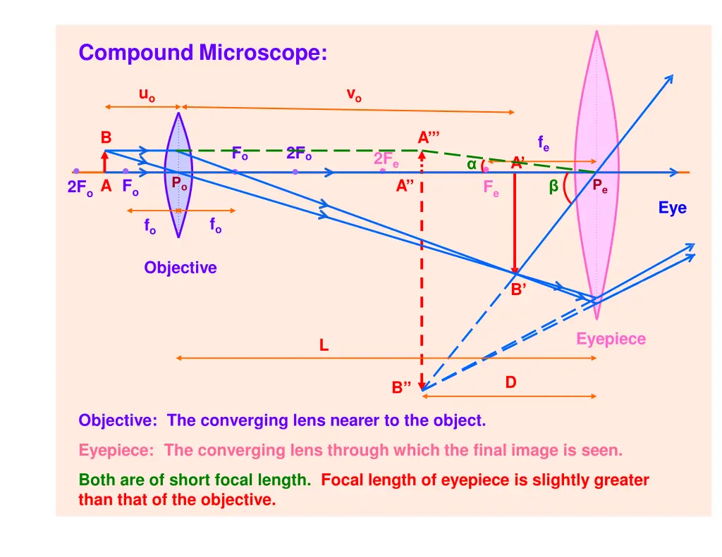 compound microscope