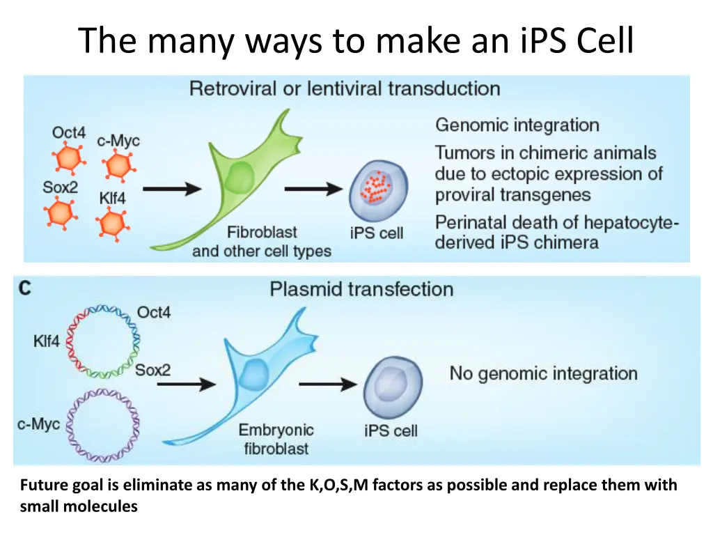 the many ways to make an ips cell