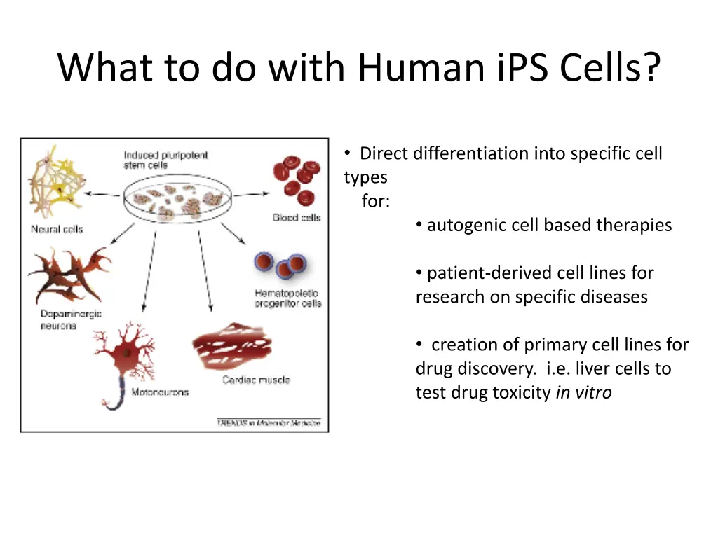what to do with human ips cells