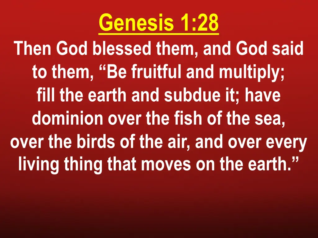 genesis 1 28