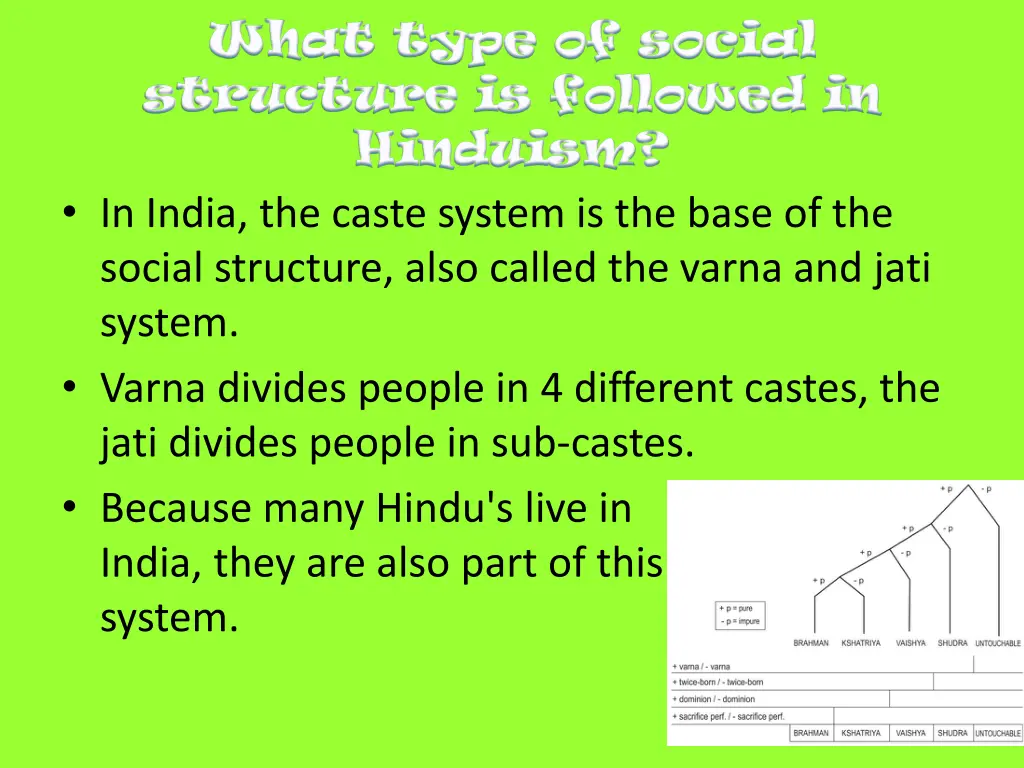 what type of social what type of social structure