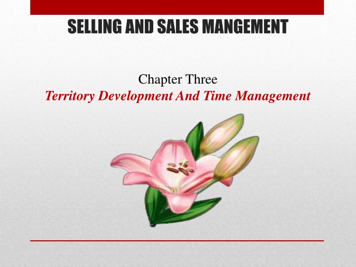 selling and sales mangement