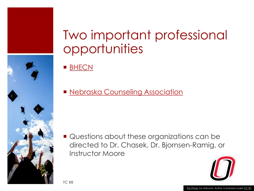 two important professional opportunities