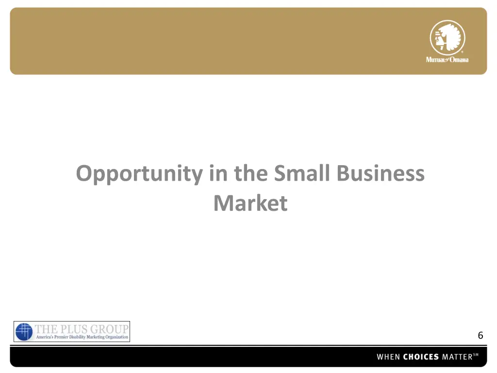 opportunity in the small business market