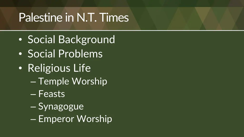 palestine in n t times 1