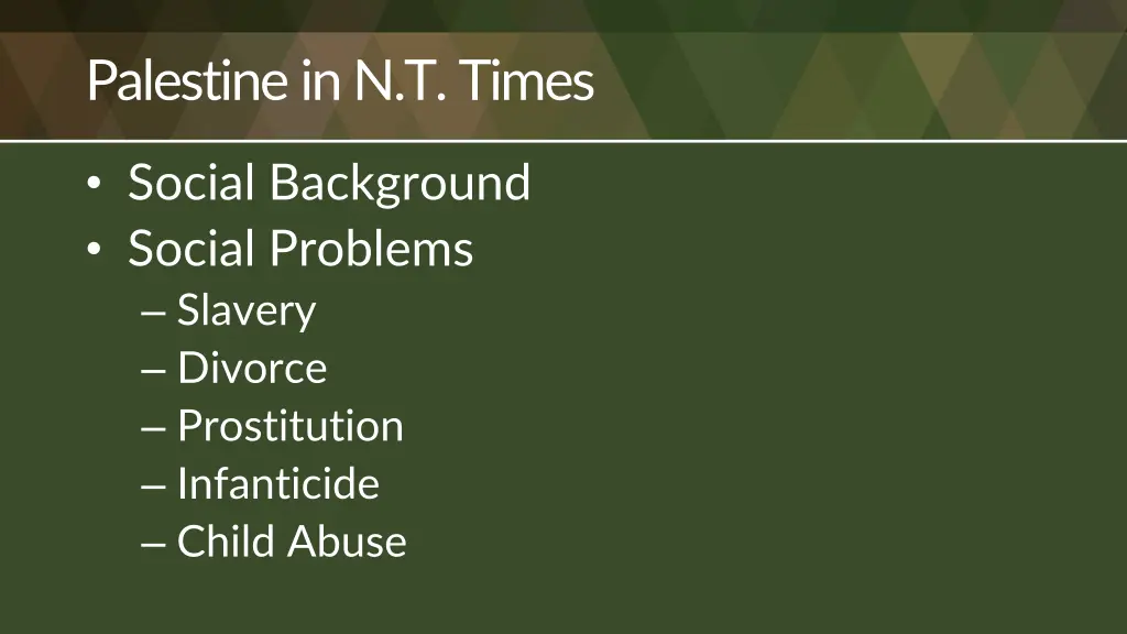 palestine in n t times