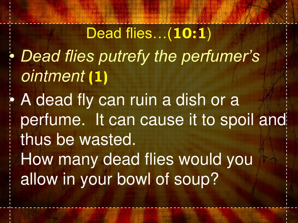 dead flies 10 1