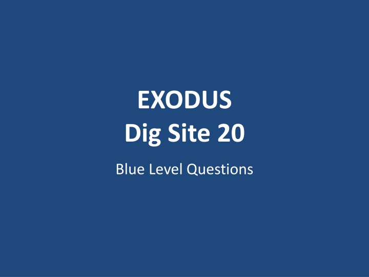 exodus dig site 20