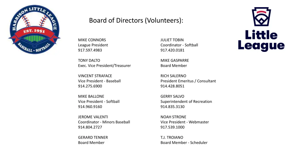 board of directors volunteers