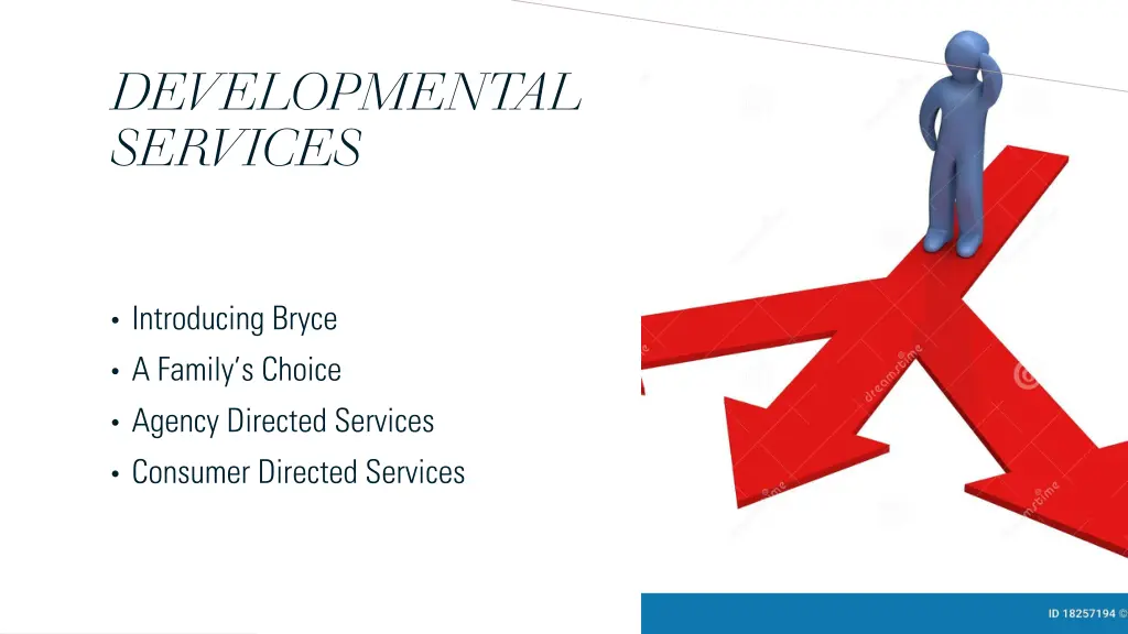 developmental services