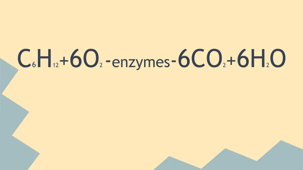 c 6 h 12 6o 2 enzymes 6co 2 6h 2 o