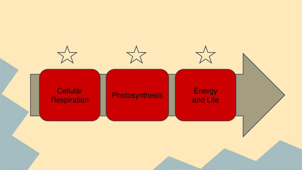 cellular respiration