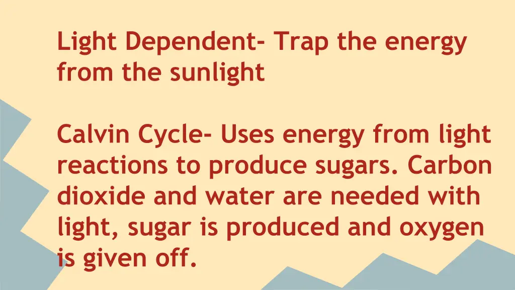 light dependent trap the energy from the sunlight