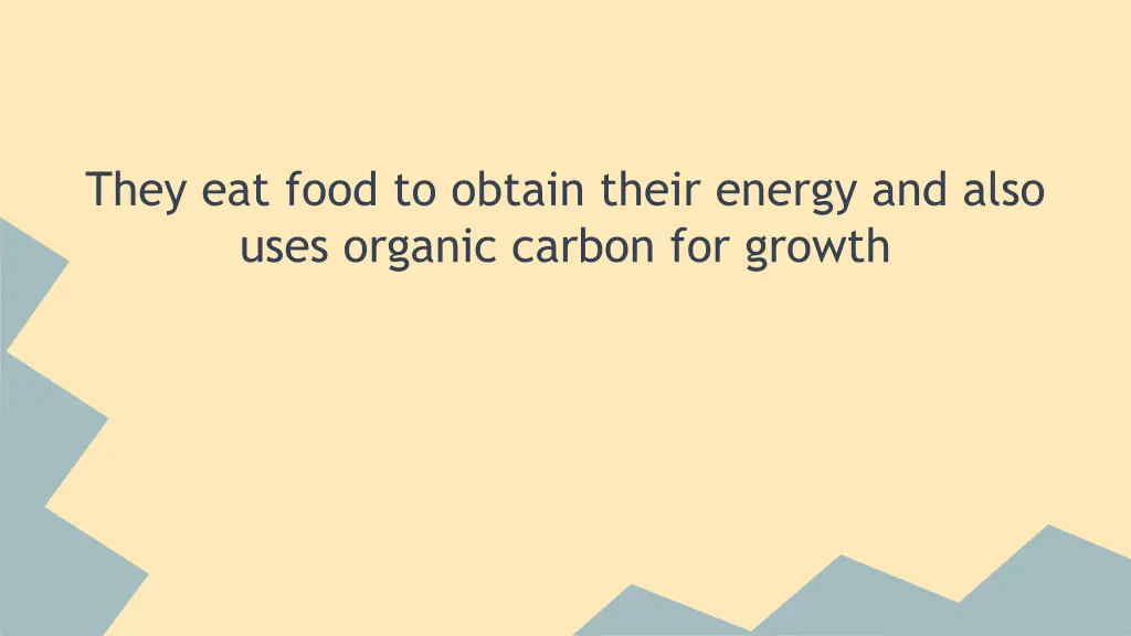 they eat food to obtain their energy and also