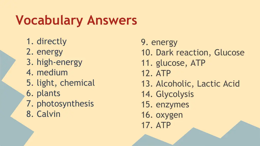 vocabulary answers