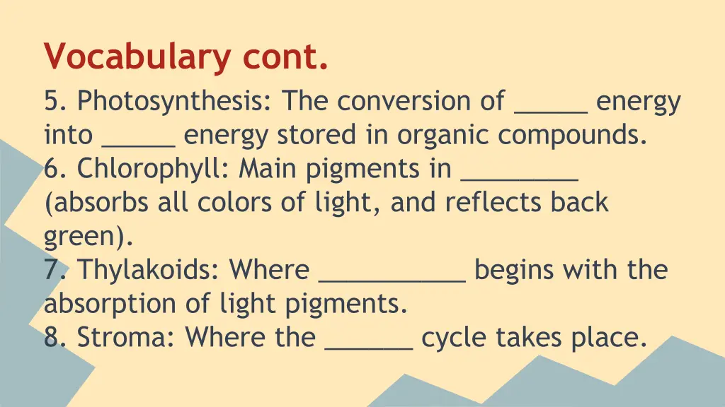 vocabulary cont 5 photosynthesis the conversion