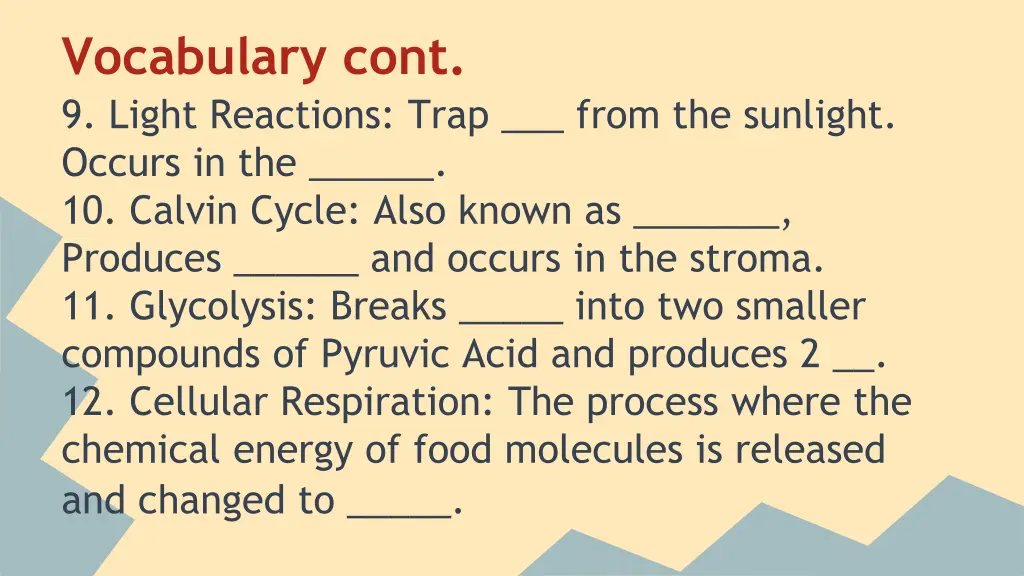 vocabulary cont 9 light reactions trap from