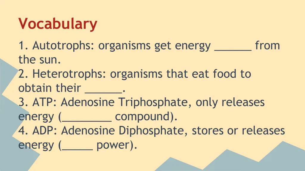vocabulary