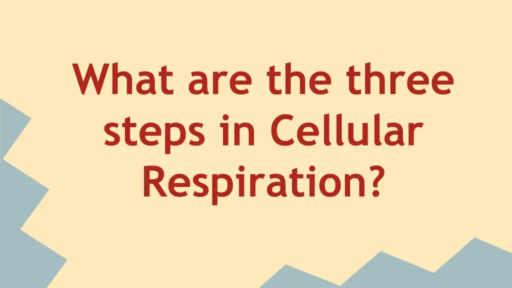 what are the three steps in cellular respiration