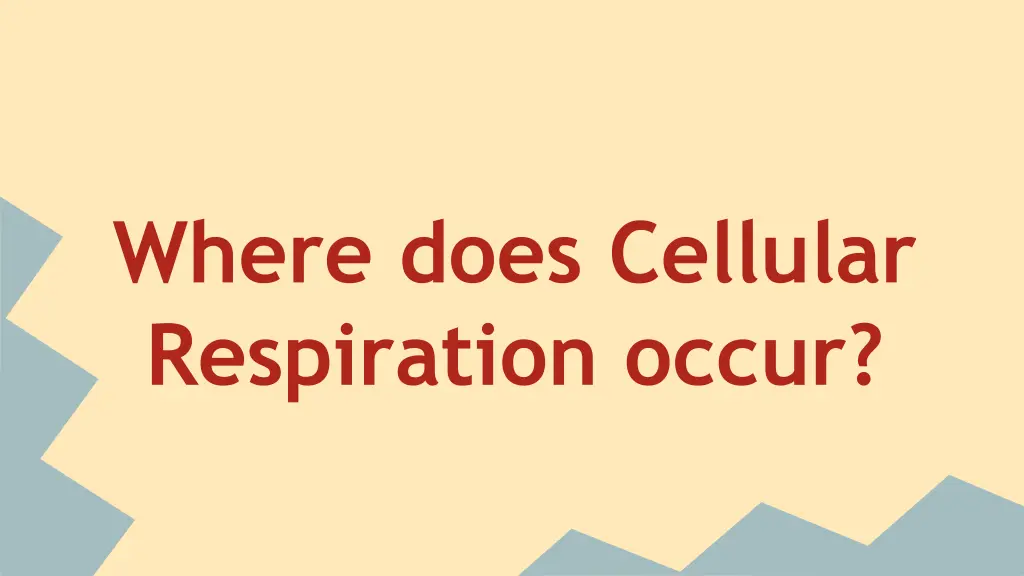 where does cellular respiration occur
