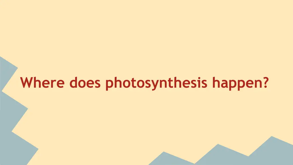where does photosynthesis happen