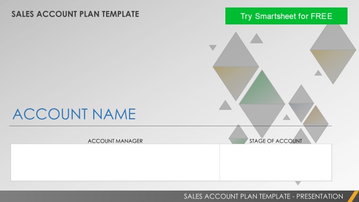 sales account plan template