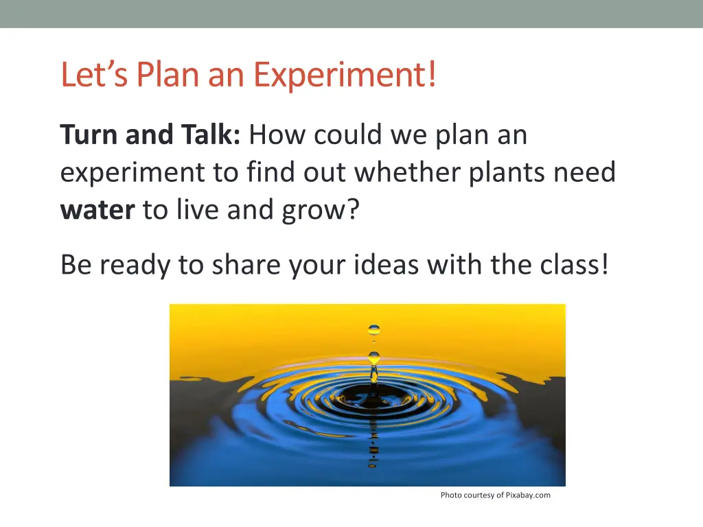 let s plan an experiment