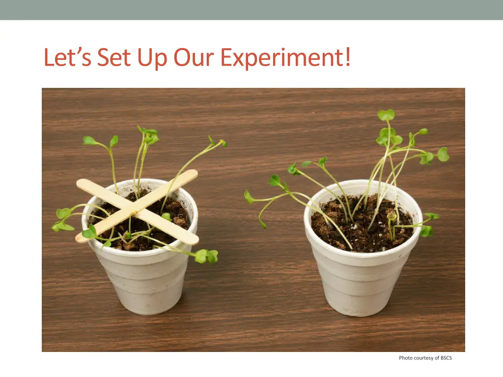 let s set up our experiment
