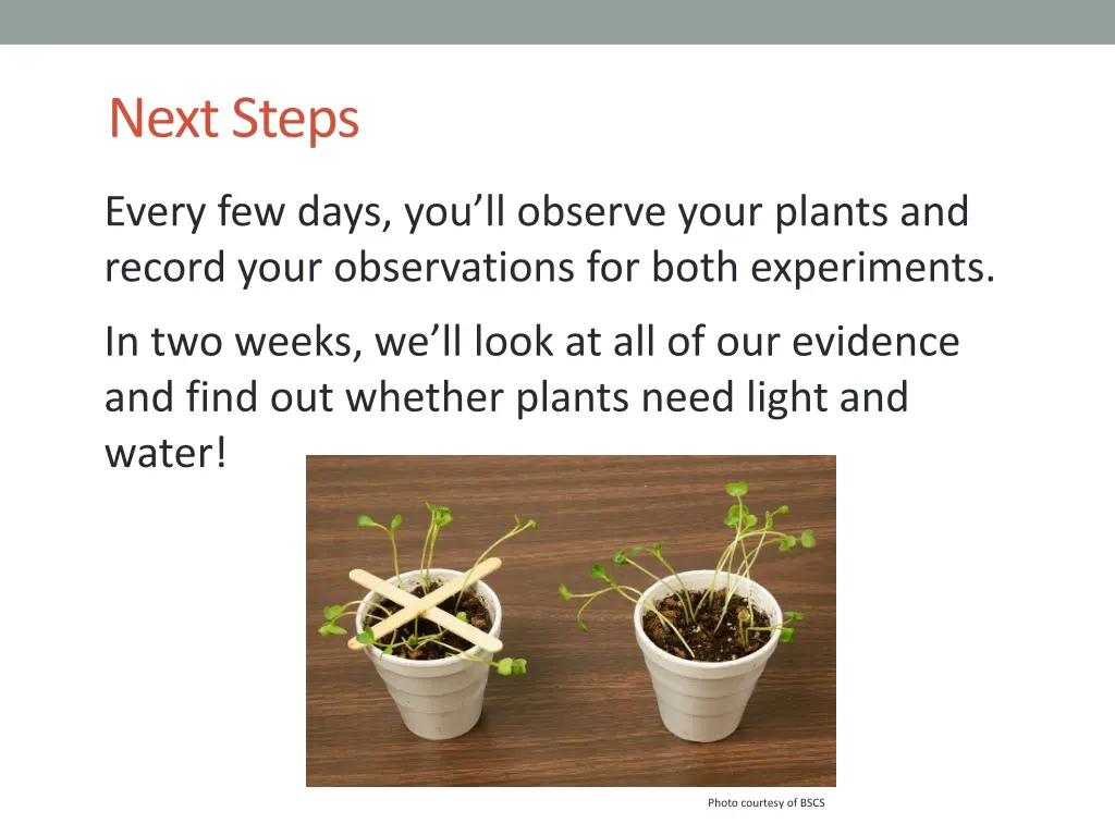 next steps