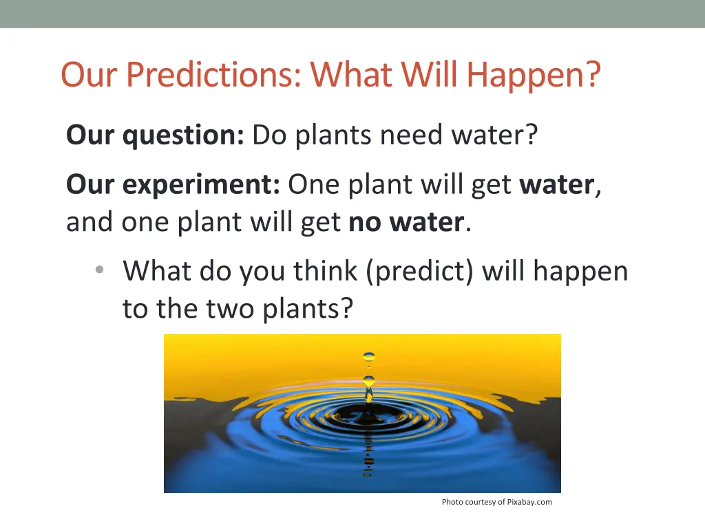 our predictions what will happen