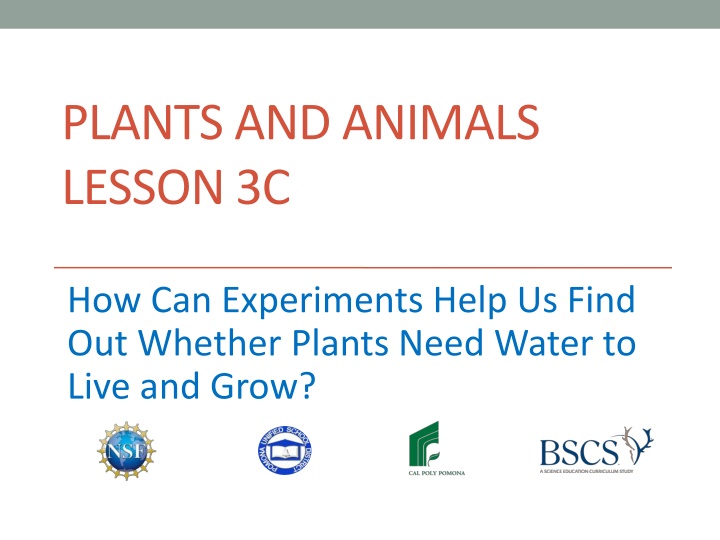 plants and animals lesson 3c