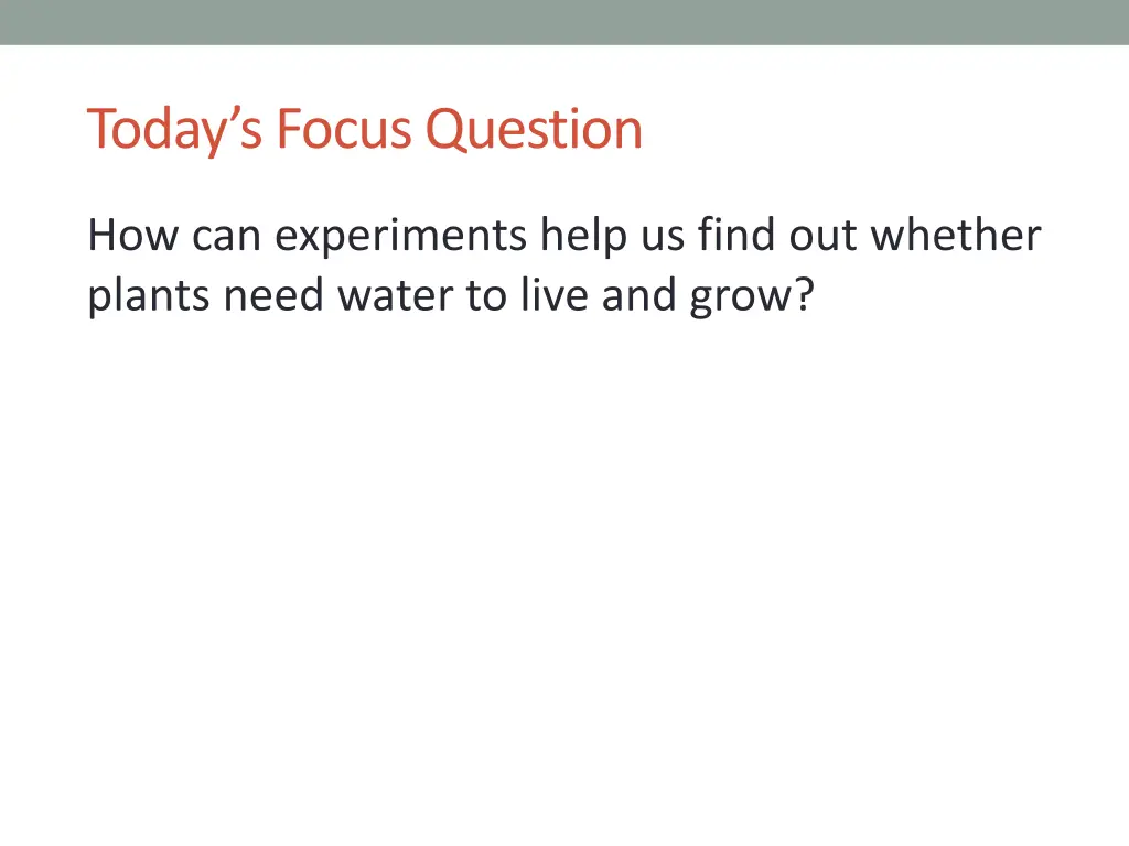 today s focus question