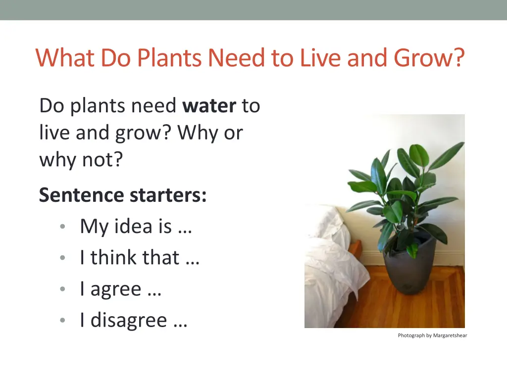 what do plants need to live and grow 1