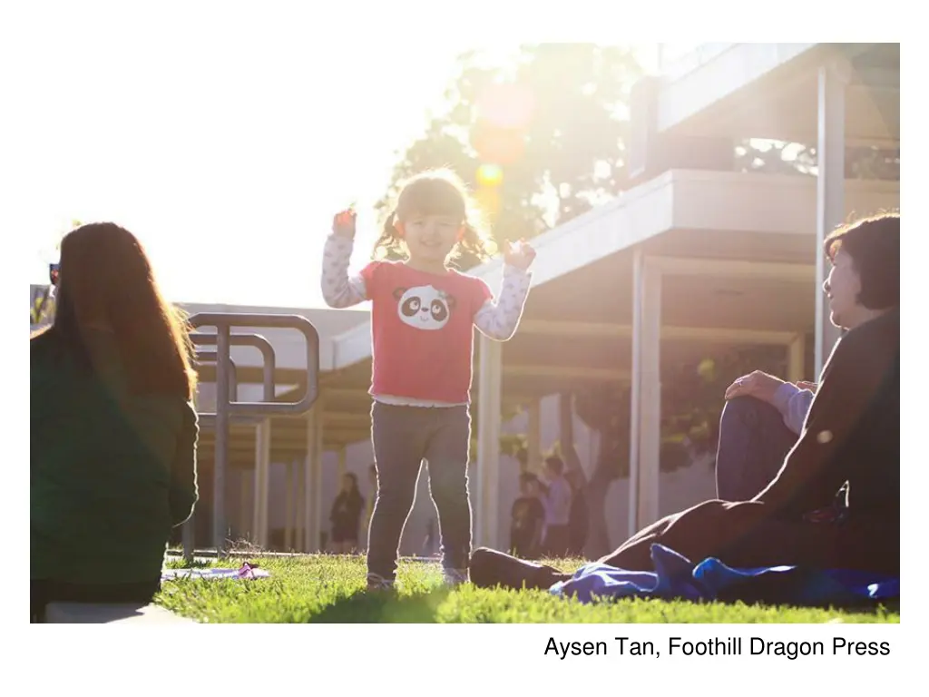 aysen tan foothill dragon press